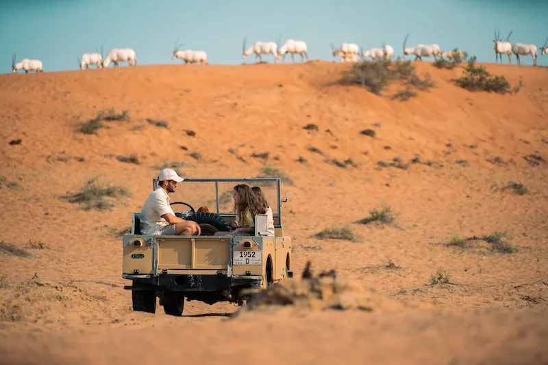 Al Wadi Desert, Ras al Khaimah